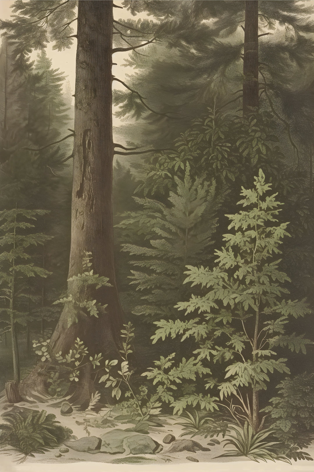 Elusive Prints  5.5 x 8.5 Paper Pad