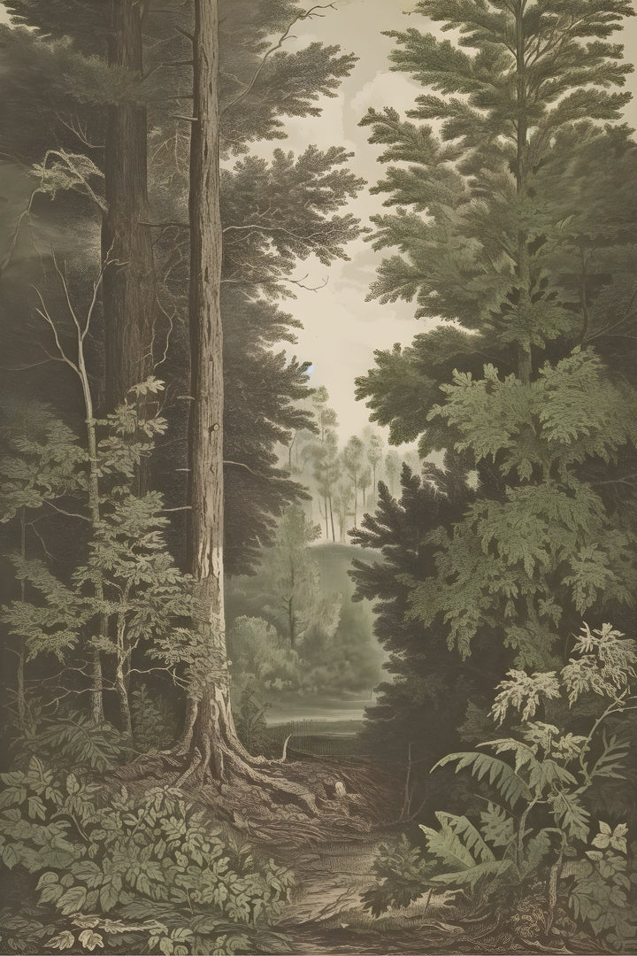 Elusive Prints  5.5 x 8.5 Paper Pad