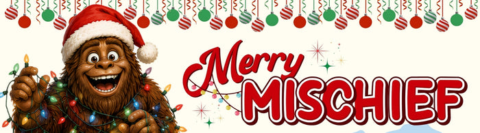 Christmas Chaos Day 2  - Today's North Pole Mission